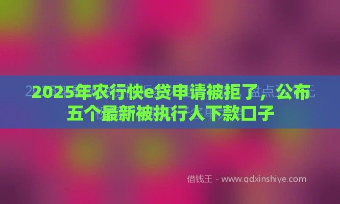 2025年农行快e贷申请被拒了，公布五个最新被执行人下款口子