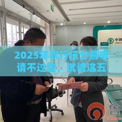 2025年农行乐分易申请不过去，试试这五个最新安全的借钱平台