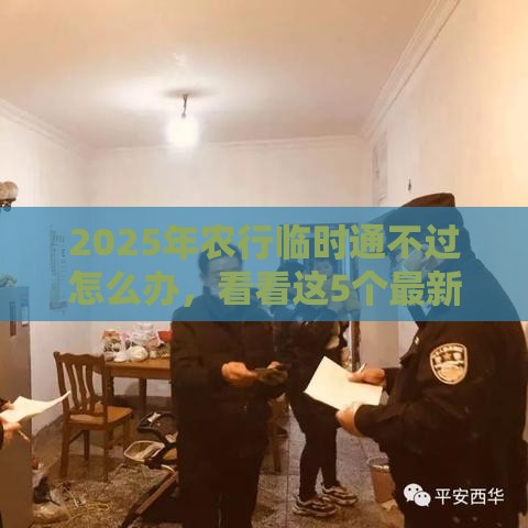 2025年农行临时通不过怎么办，看看这5个最新最容易下款的贷款平台