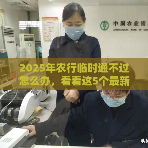 2025年农行临时通不过怎么办，看看这5个最新最容易下款的贷款平台