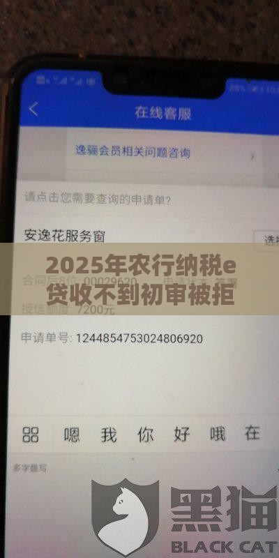 2025年农行纳税e贷收不到初审被拒，推荐5个最新2025逾期黑户能下款的口子