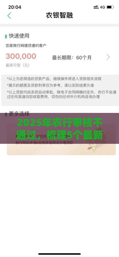 2025年农行审核不通过，梳理5个最新贷款下款快的平台