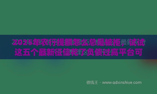 2025年农行提额怎么总是被拒，试试这五个最新征信花了负债过高平台可以贷款