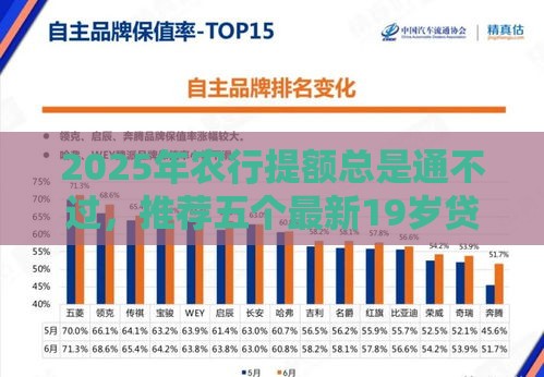 2025年农行提额总是通不过，推荐五个最新19岁贷款平台