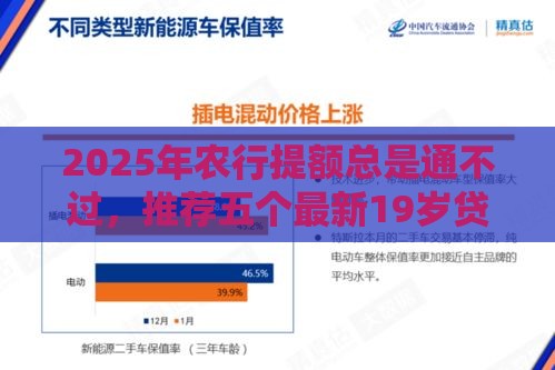 2025年农行提额总是通不过，推荐五个最新19岁贷款平台