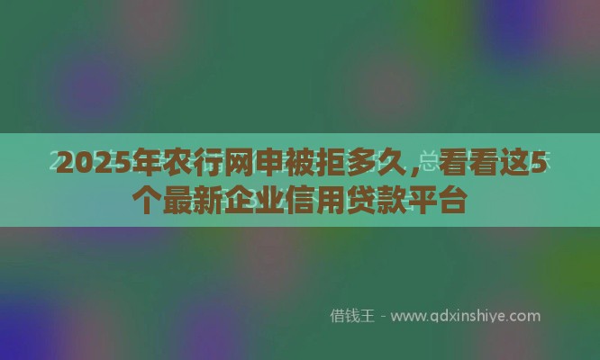 2025年农行网申被拒多久，看看这5个最新企业信用贷款平台
