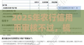2025年农行信用币审核不过，梳理五个最新平台贷款容易