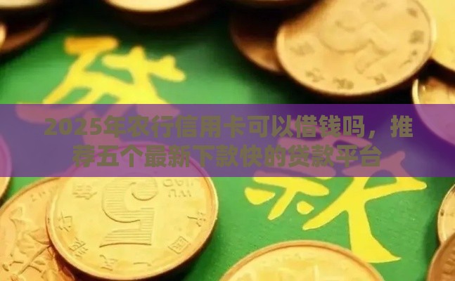2025年农行信用卡可以借钱吗，推荐五个最新下款快的贷款平台