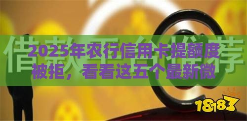 2025年农行信用卡提额度被拒，看看这五个最新微信平台借钱