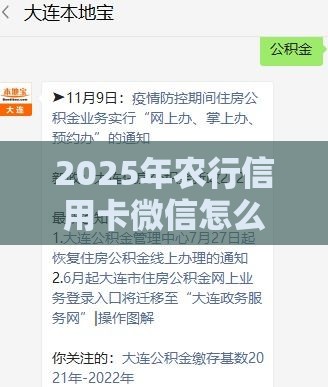 2025年农行信用卡微信怎么借钱，试试这五个最新企业贷款平台
