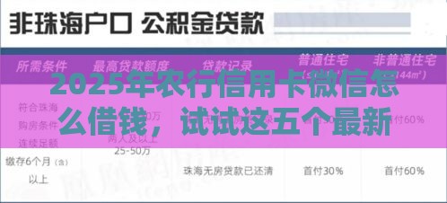 2025年农行信用卡微信怎么借钱，试试这五个最新企业贷款平台