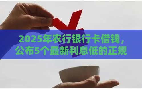 2025年农行银行卡借钱，公布5个最新利息低的正规借钱平台