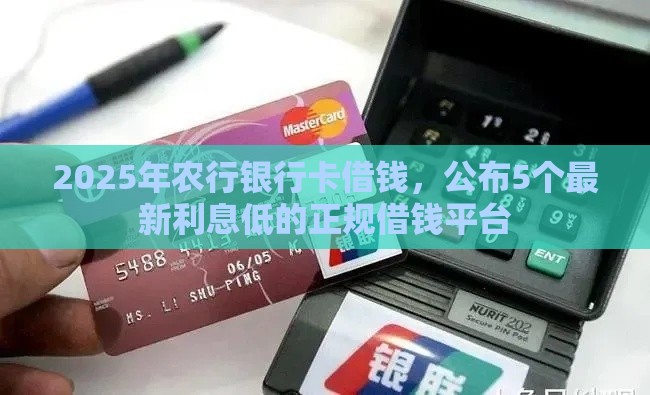 2025年农行银行卡借钱，公布5个最新利息低的正规借钱平台