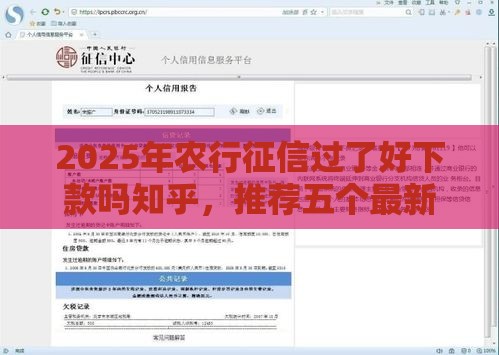 2025年农行征信过了好下款吗知乎，推荐五个最新信用贷款平台