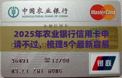 2025年农业银行信用卡申请不过，梳理5个最新容易下款的借款平台2025