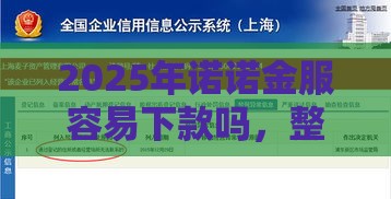 2025年诺诺金服容易下款吗，整合5个最新62岁能借钱的平台