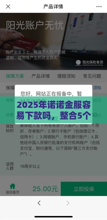2025年诺诺金服容易下款吗，整合5个最新62岁能借钱的平台