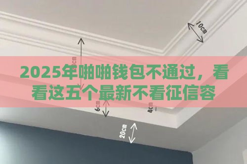 2025年啪啪钱包不通过，看看这五个最新不看征信容易贷款的平台