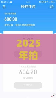 2025年拍拍贷获得额度审核被拒，整理五个最新专门给黑户放款的平台及征信呆账相关
