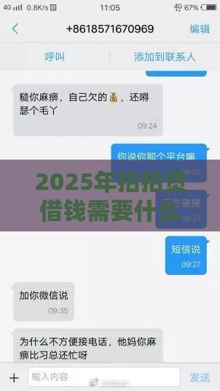 2025年拍拍贷借钱需要什么，整理5个最新有容易借的平台嘛