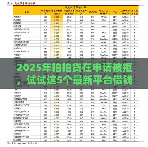 2025年拍拍贷在申请被拒，试试这5个最新平台借钱不上征信
