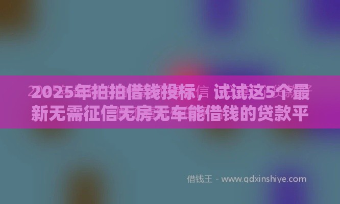 2025年拍拍借钱投标，试试这5个最新无需征信无房无车能借钱的贷款平台