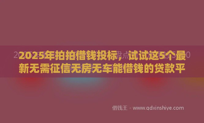 2025年拍拍借钱投标，试试这5个最新无需征信无房无车能借钱的贷款平台