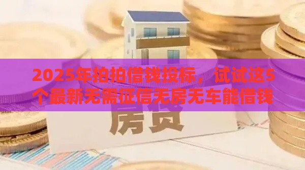 2025年拍拍借钱投标，试试这5个最新无需征信无房无车能借钱的贷款平台