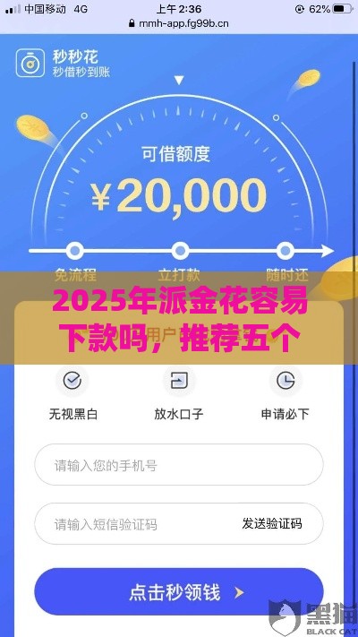 2025年派金花容易下款吗，推荐五个最新平台好贷款
