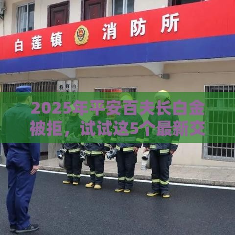 2025年平安百夫长白金被拒，试试这5个最新交钱必通过的借钱平台