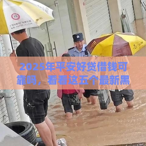 2025年平安好贷借钱可靠吗，看看这五个最新黑户能下款的app口子入口