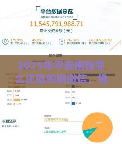 2025年平安借钱怎么还款的啊微信，推荐5个最新投资p2p网贷平台