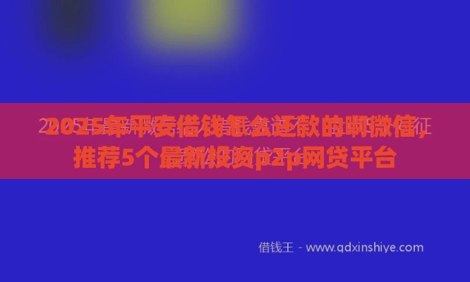 2025年平安借钱怎么还款的啊微信，推荐5个最新投资p2p网贷平台