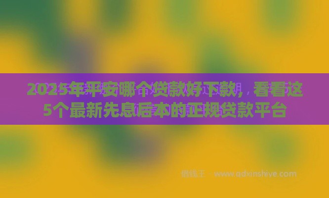 2025年平安哪个贷款好下款，看看这5个最新先息后本的正规贷款平台