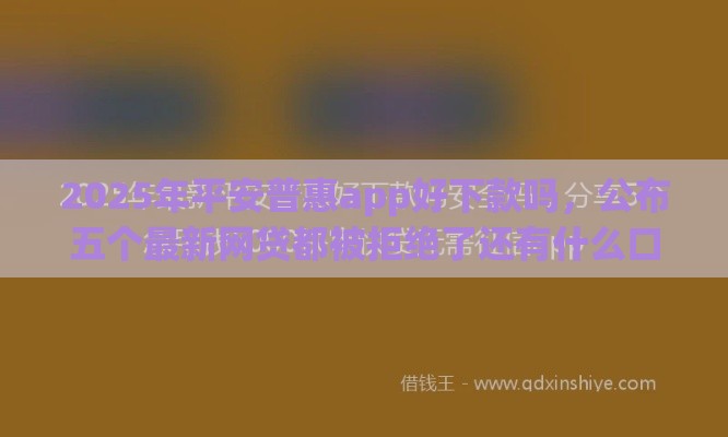 2025年平安普惠app好下款吗，公布五个最新网贷都被拒绝了还有什么口子