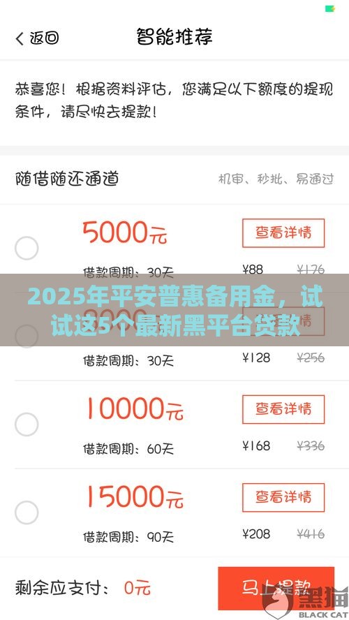 2025年平安普惠备用金，试试这5个最新黑平台贷款