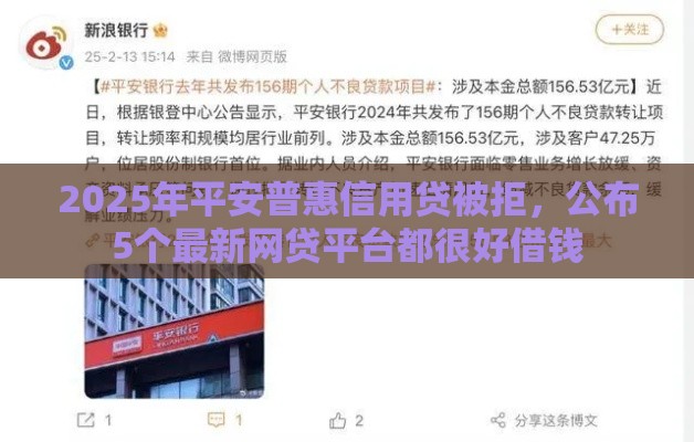 2025年平安普惠信用贷被拒，公布5个最新网贷平台都很好借钱