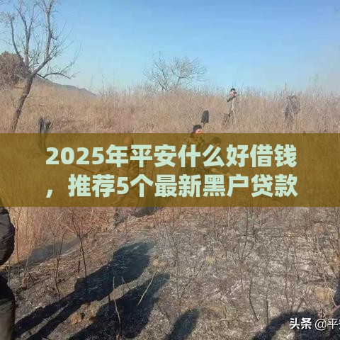 2025年平安什么好借钱，推荐5个最新黑户贷款的口子必下