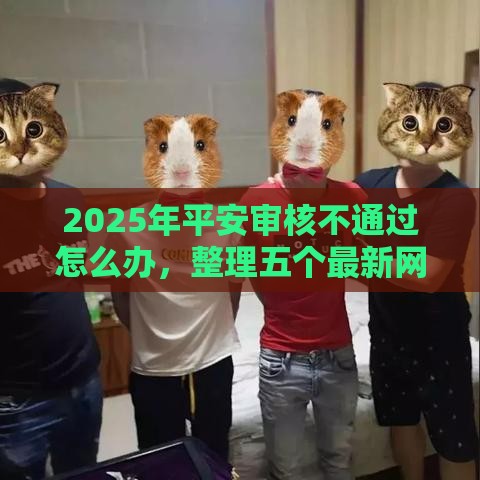 2025年平安审核不通过怎么办，整理五个最新网贷平台排行