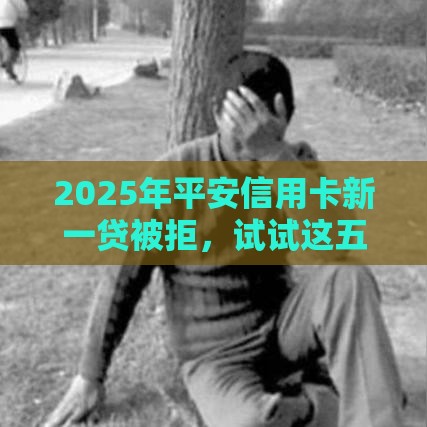 2025年平安信用卡新一贷被拒，试试这五个最新半夜秒下款的高炮口子