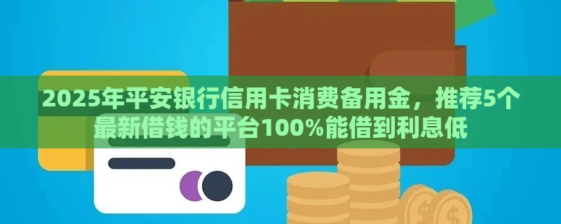 2025年平安银行信用卡消费备用金，推荐5个最新借钱的平台100%能借到利息低