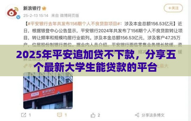 2025年平安追加贷不下款，分享五个最新大学生能贷款的平台