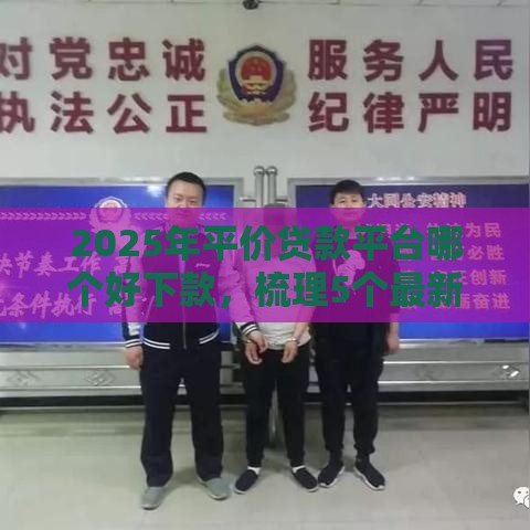 2025年平价贷款平台哪个好下款，梳理5个最新车辆抵押贷款正规平台