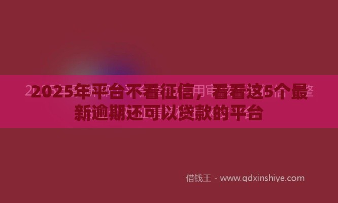 2025年平台不看征信，看看这5个最新逾期还可以贷款的平台