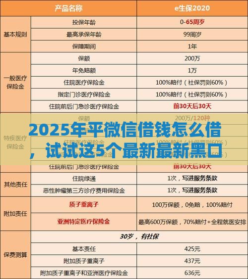 2025年平微信借钱怎么借，试试这5个最新最新黑口子秒过的