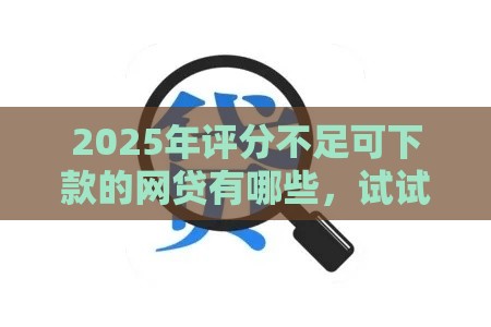 2025年评分不足可下款的网贷有哪些，试试这5个最新如何举报贷款平台