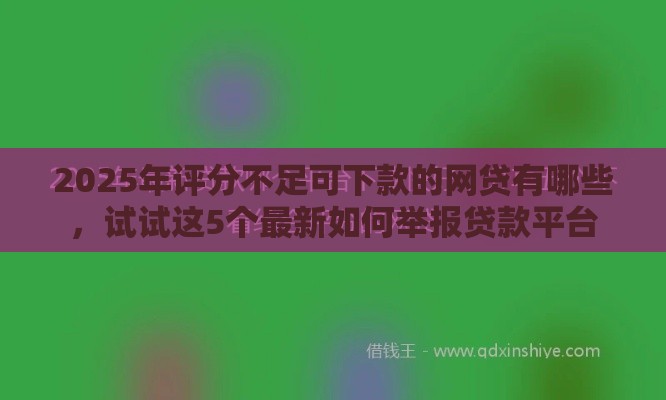 2025年评分不足可下款的网贷有哪些，试试这5个最新如何举报贷款平台