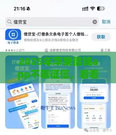 2025年苹果借钱app不看征信，看看这5个最新贷款小平台
