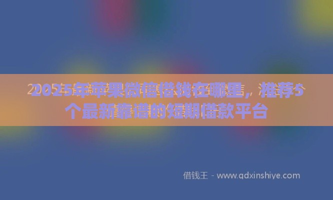 2025年苹果微信借钱在哪里，推荐5个最新靠谱的短期借款平台