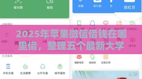 2025年苹果微信借钱在哪里借，整理五个最新大学生贷款平台